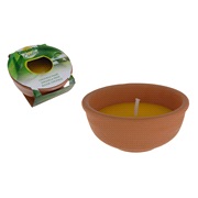 Myggelys Citronella i lerpotte